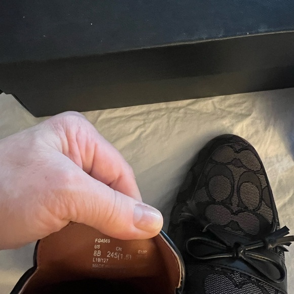 Coach slides - Picture 5 of 10
